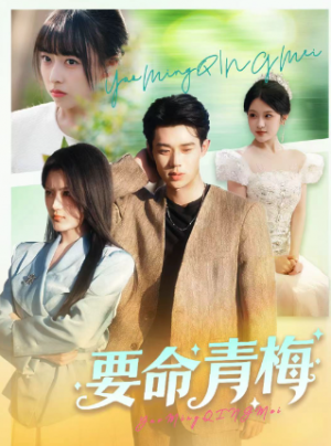 要命青梅（60集）