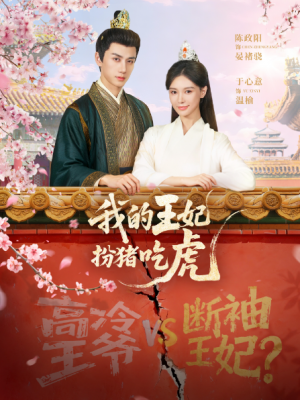 我的王妃扮猪吃虎（79集）