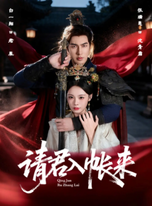 请君入帐来(63集)