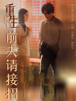 重生80前夫请接招（80集）
