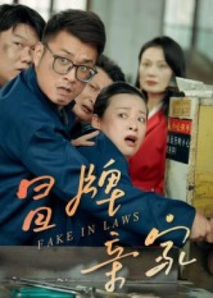 冒牌亲家（30集）