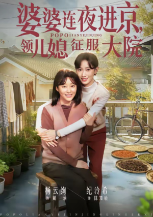 婆婆连夜进京领儿媳征服大院（78集）