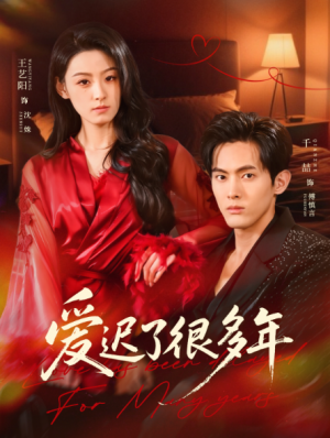 爱迟了很多年（73集）