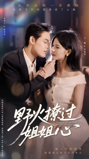 野火撩过姐姐心（97集）