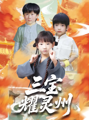 三宝耀灵州（50集）