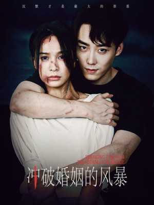 冲破婚姻的风暴（29集）