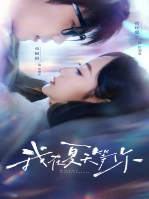 我在夏天等你（80集）