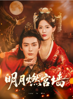 明月燃宫墙（60集）
