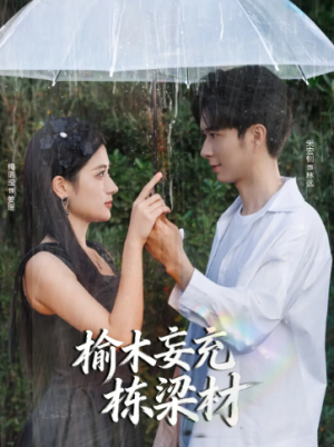 榆木妄充栋梁材（88集）