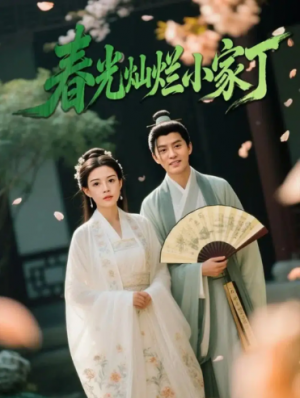 春光灿烂小家丁（102集）