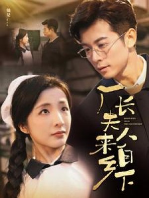 厂长夫人来自乡下（60集）