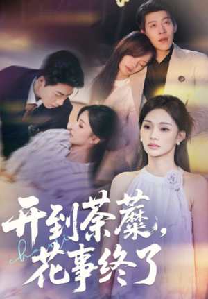 开到荼蘼，花事终了（77集）