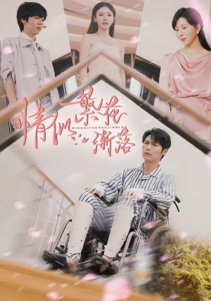 情似繁花渐落（62集）