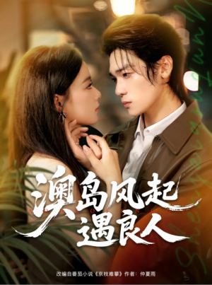 澳岛风起遇良人（86集）