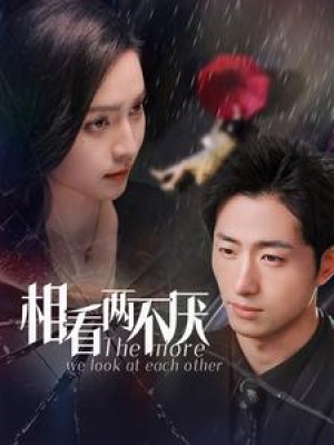 相看两不厌（80集）