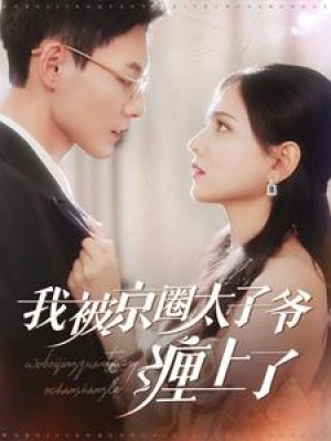 我被京圈太子爷缠上了（98集）