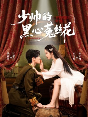 少帅的黑心菟丝花（60集）