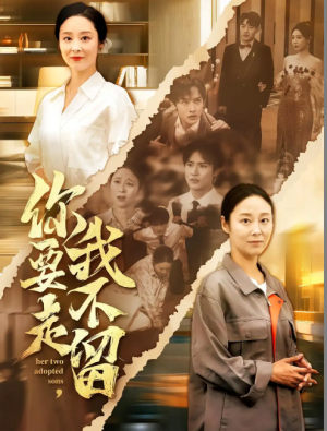 你要走我不留&你要走，我不留（60集）