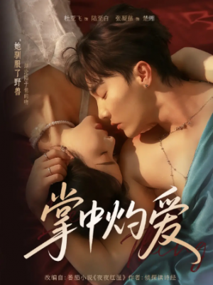 掌中灼爱（62集）