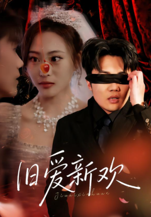 旧爱新欢（48集）