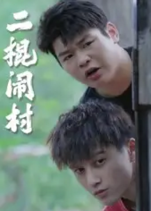 二棍闹村（23集）