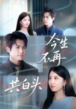 今生不再共白头（89集）