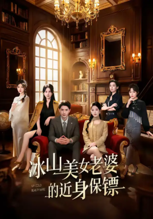 冰山美女老婆的近身保镖（84集）