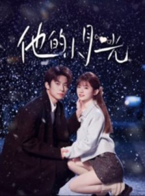 他的小月光（84集）
