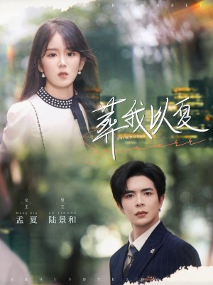 葬我以夏（73集）