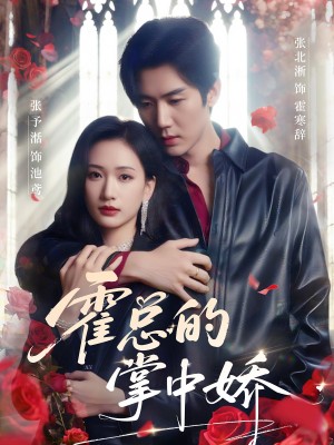 霍总的掌中娇（80集）