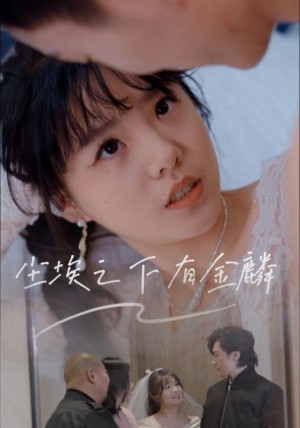 尘埃之下有金鳞（60集）