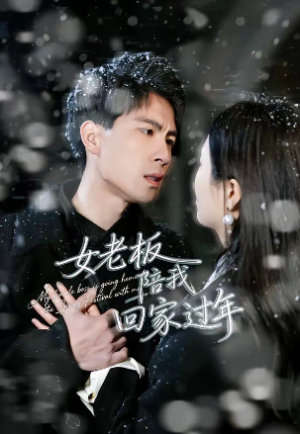 女老板陪我回家过年（40集）