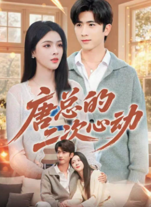 唐总的二次心动（80集）