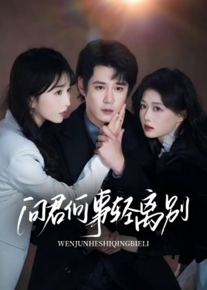 问君何事轻离别（30集）