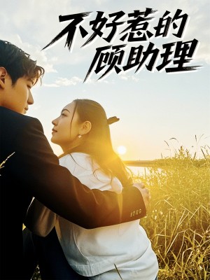 不好惹的顾助理（67集）