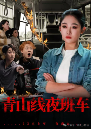 青山线夜班车（63集）