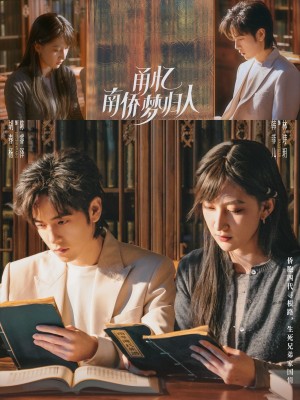 甬忆南侨梦归人（18集）