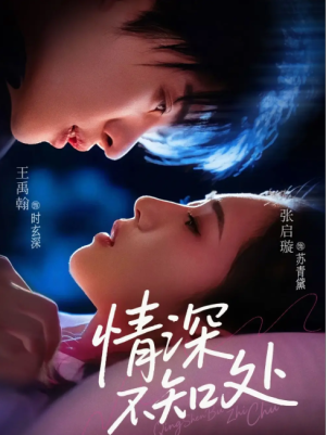 情深不知处（85集）