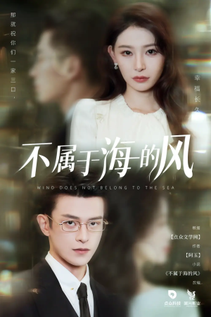 不属于海的风（40集）