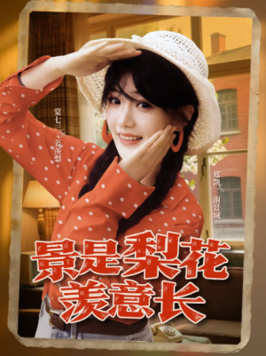 景是梨花羡意长（95集）