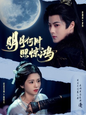 明月何时照惊鸿（80集）