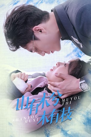 山有木兮木有枝（60集）