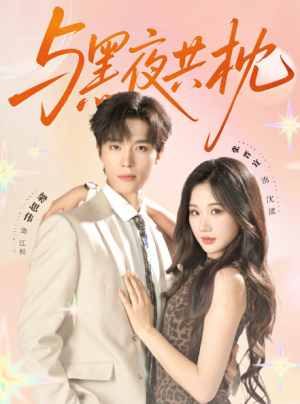 与黑夜共枕 未删减版（79集）