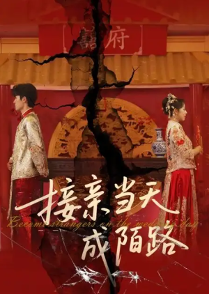 接亲当天成陌路（50集）