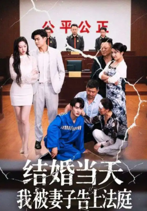 结婚当天我被妻子告上法庭（30集）