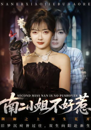 南二小姐不好惹（65集）