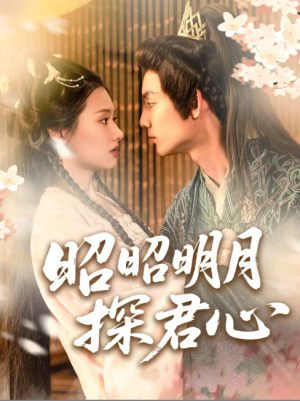昭昭明月探君心（86集）