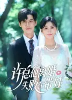 许总他离婚失败在带娃（50集）