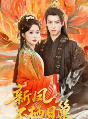 新凤不栖旧巢（62集）