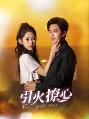 引火撩心（100集）